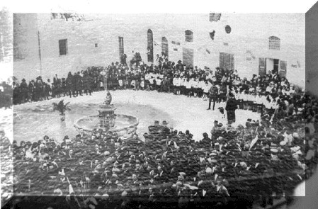 foto17.jpg (54256 bytes)