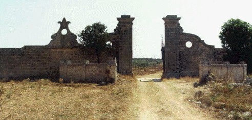 foto24.jpg (41678 bytes)