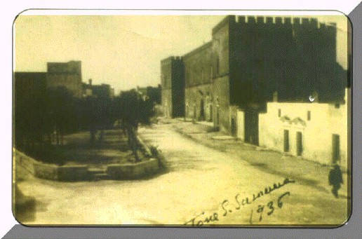 foto51.jpg (56555 bytes)